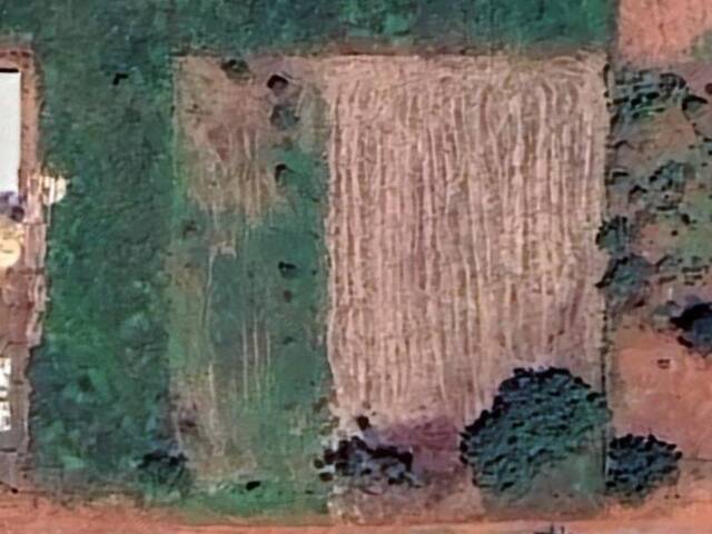 #42 - Chácara para Venda em Tangará da Serra - MT - 1