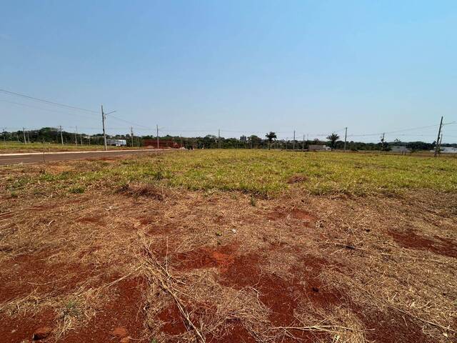 #43 - Terreno para Venda em Tangará da Serra - MT - 1
