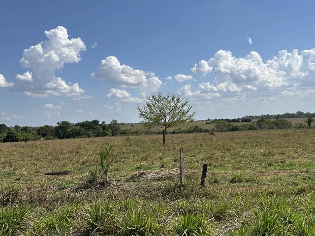 #56 - Chácara para Venda em Tangará da Serra - MT - 1
